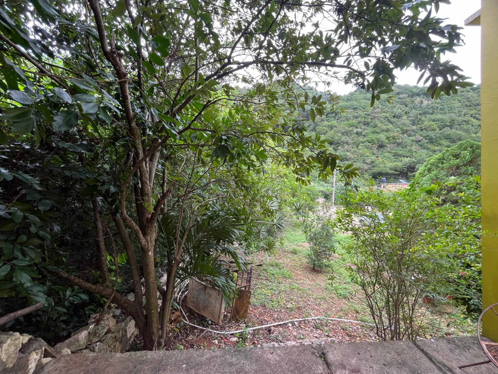 Twenty-Fifth image of 117 Belvedere Road in Belvedere, St. Andrew, Jamaica - property is For Sale