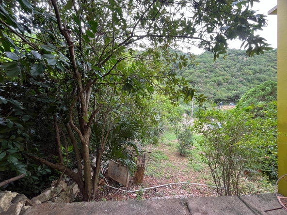 Twenty-Fifth image of 117 Belvedere Road in Belvedere, St. Andrew, Jamaica - property is For Sale