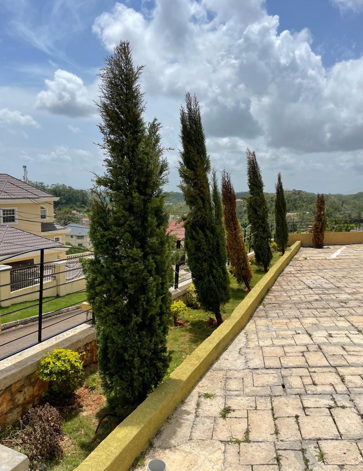 Third image of Lot #50 Avondale Heights, Mandevi in Avondale Heights, Manchester, Jamaica - property is For Rent