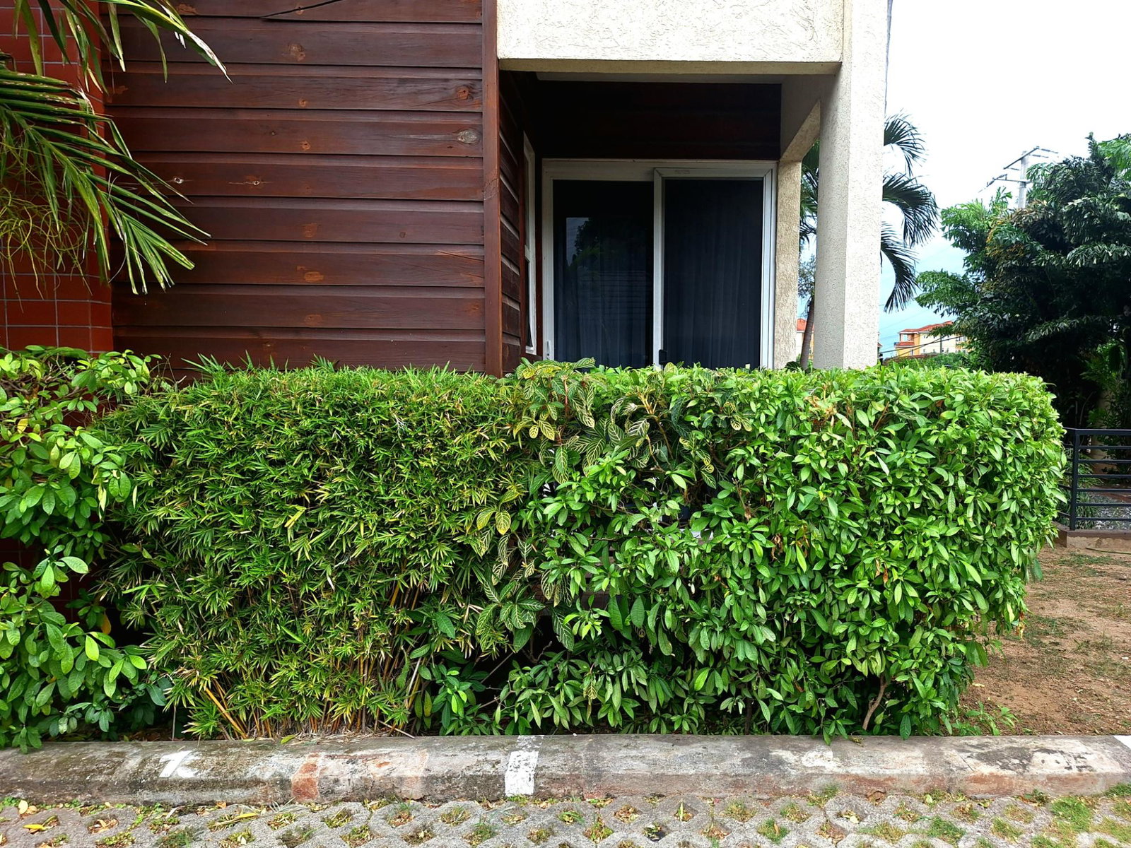 Charming-1-Bedroom-Apartment-for-Rent-in-St.-Andrew-Jamaica Twenty-Third image of 5-15a Charlton Drive in Kingston 8, St. Andrew, Jamaica - property is For Rent