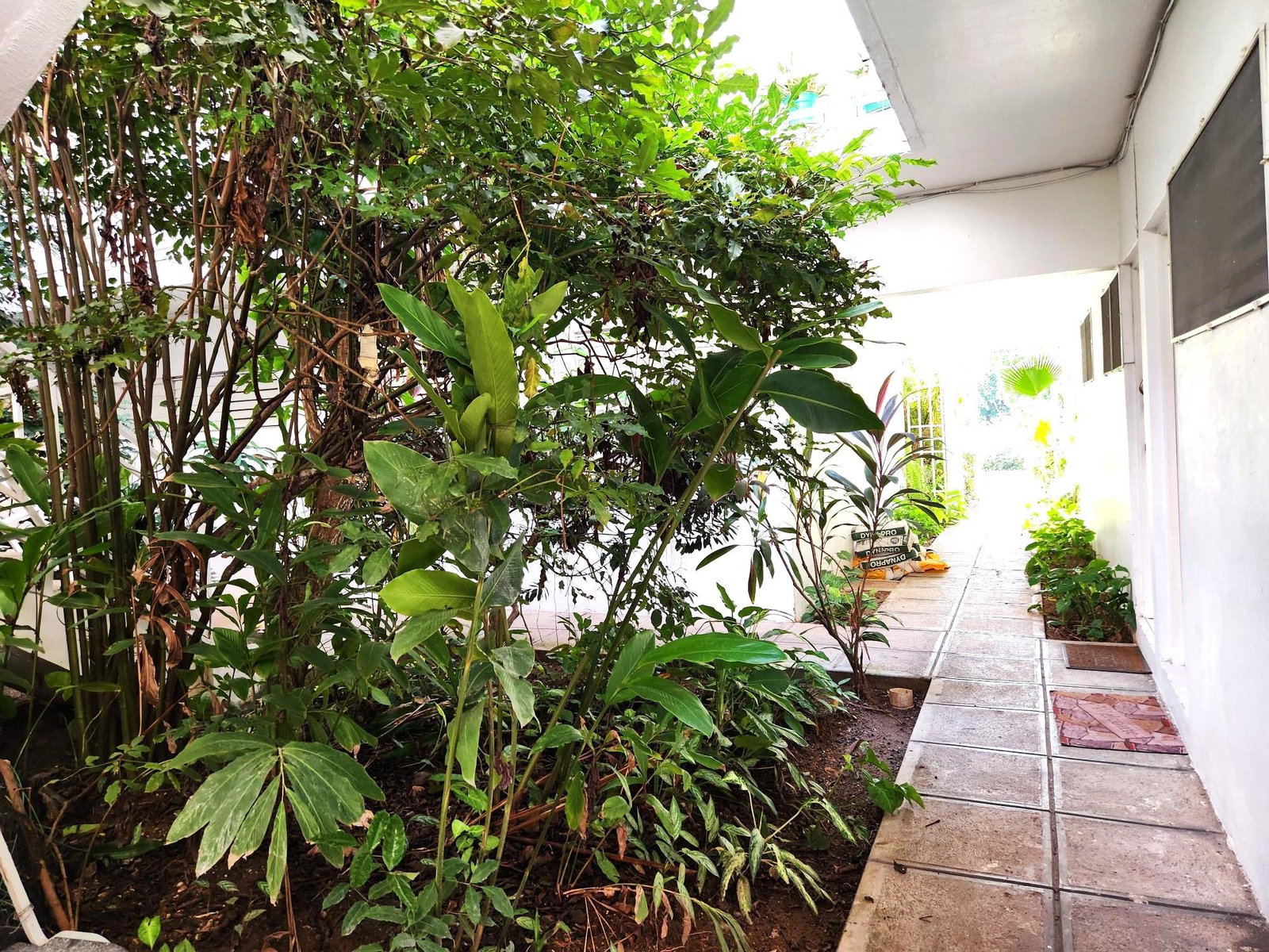 Charming-1-Bedroom-Apartment-for-Sale-in-Upper-Braemar-Avenue-Jamaica Twentieth image of 21-8 Upper Braemar Ave in Kingston 10, St. Andrew, Jamaica - property is For Sale