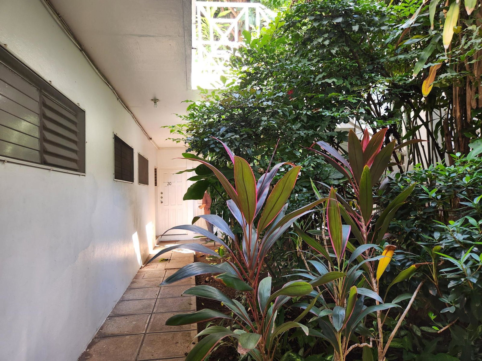 Charming-1-Bedroom-Apartment-for-Sale-in-Upper-Braemar-Avenue-Jamaica Twenty-Second image of 21-8 Upper Braemar Ave in Kingston 10, St. Andrew, Jamaica - property is For Sale