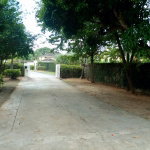 First image of 2-9 Millsborough Avenue in Kingston 6, St. Andrew, Jamaica - property is For Rent
