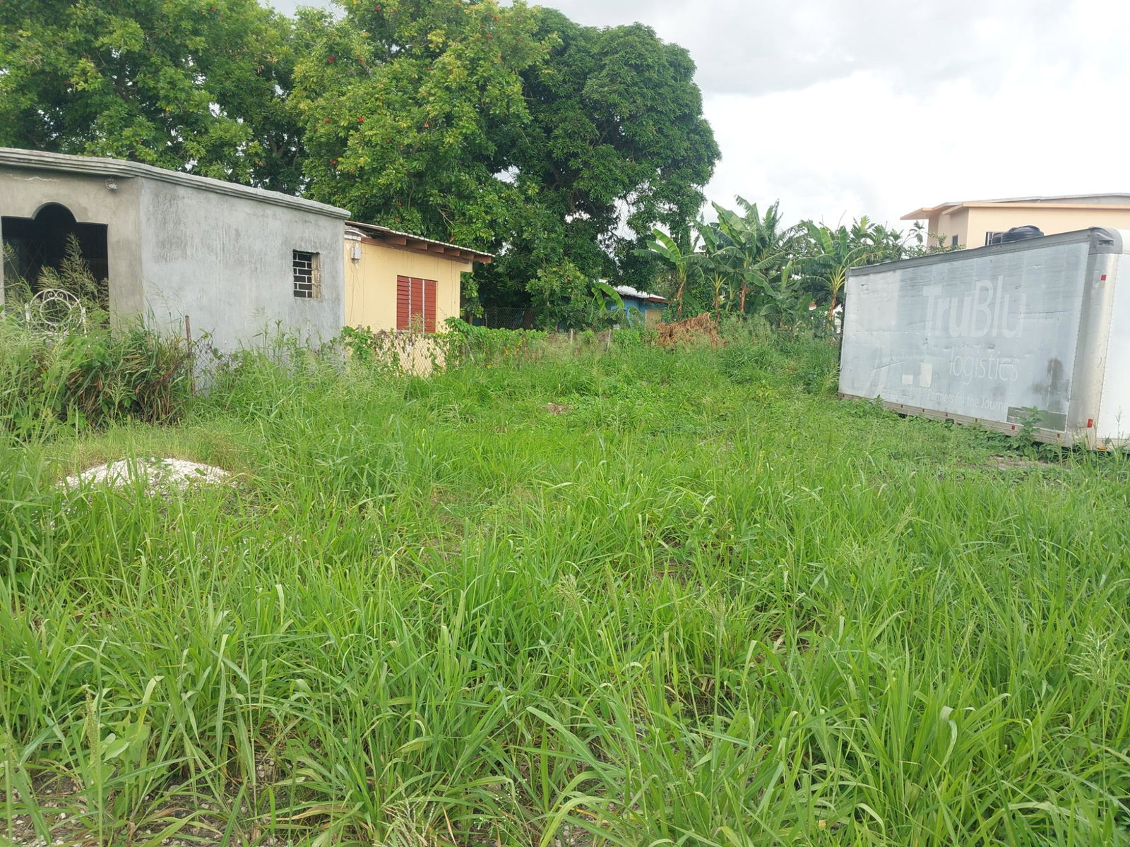 Ninth image of Willowdene, Spanish Town in Spanish Town, St. Catherine, Jamaica - property is For Sale