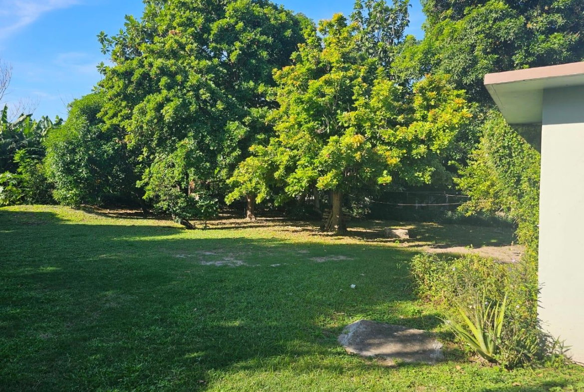 Seventh image of Knightsdale Drive in Kingston 19, St. Andrew, Jamaica - property is For Rent