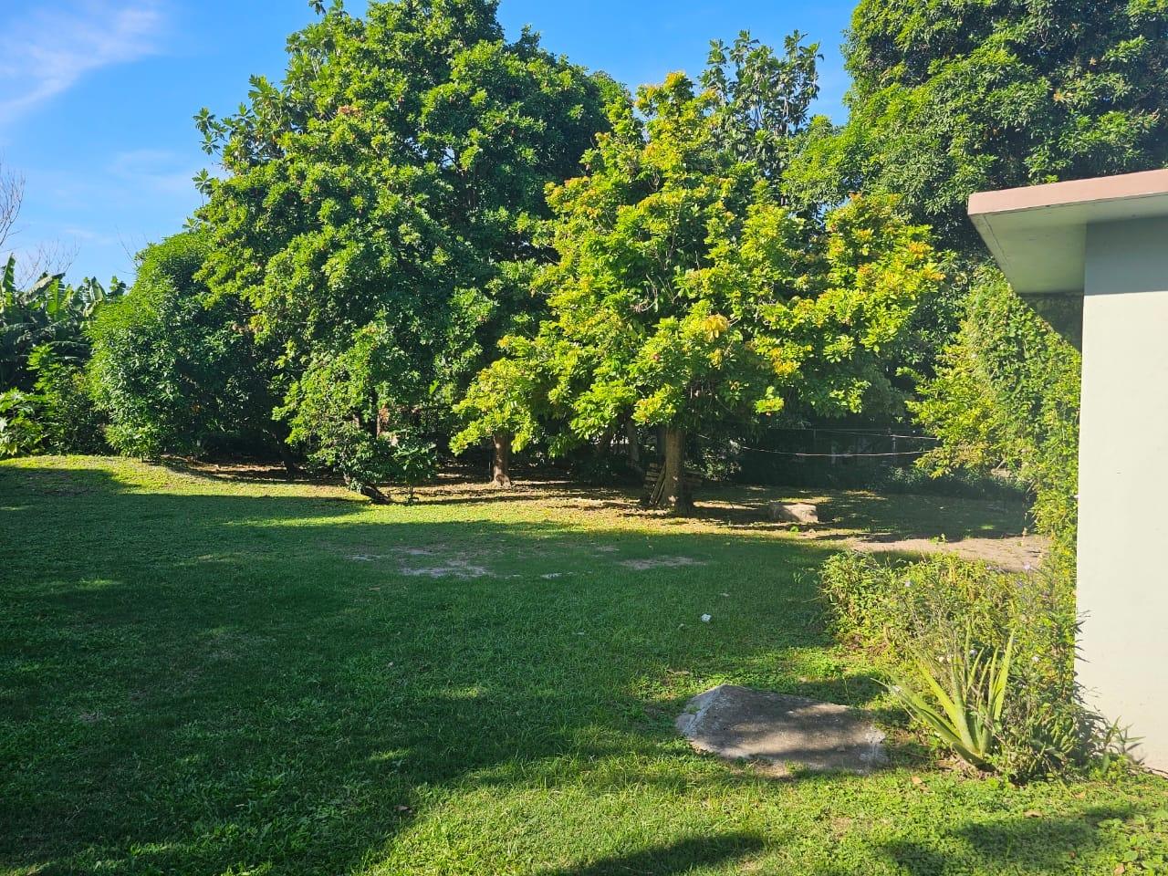Seventh image of Knightsdale Drive in Kingston 19, St. Andrew, Jamaica - property is For Rent
