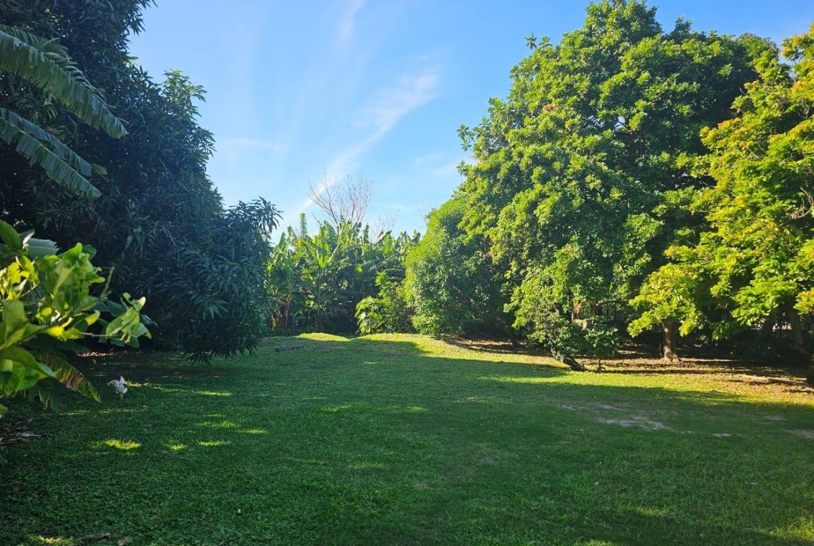 Eighth image of Knightsdale Drive in Kingston 19, St. Andrew, Jamaica - property is For Rent