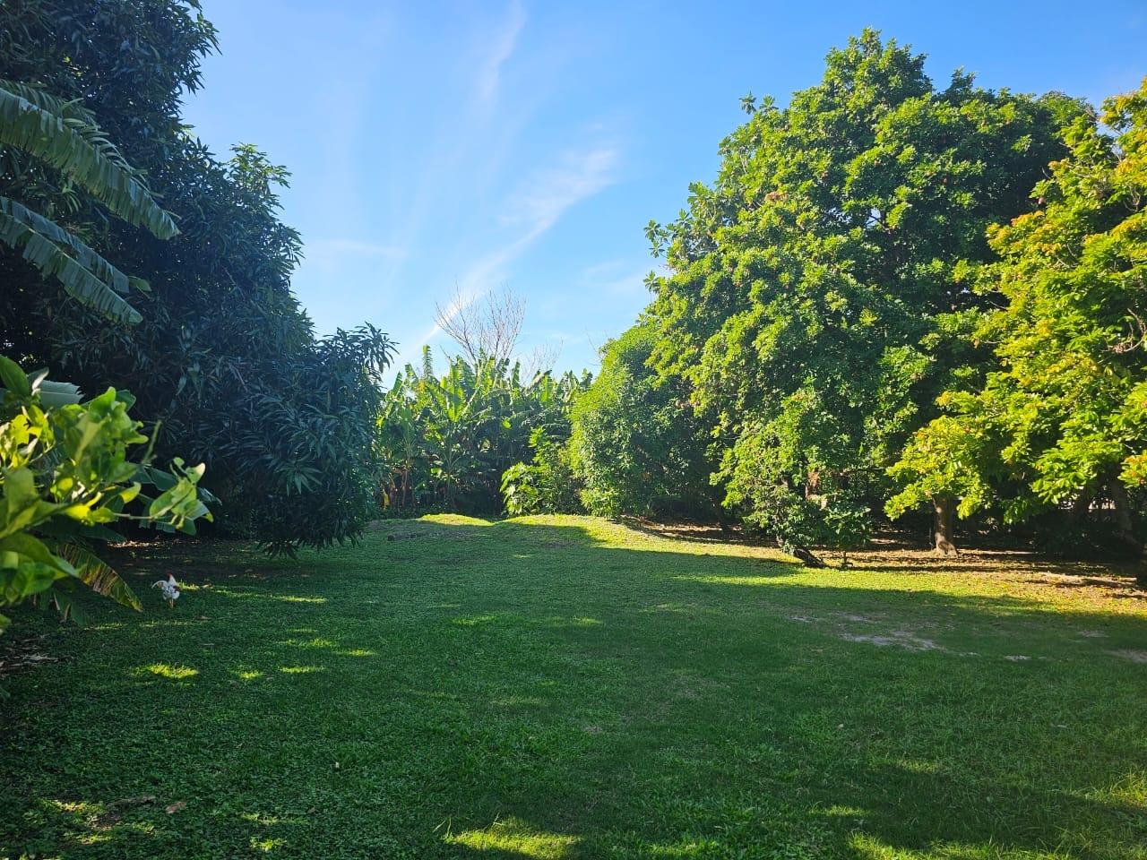 Eighth image of Knightsdale Drive in Kingston 19, St. Andrew, Jamaica - property is For Rent