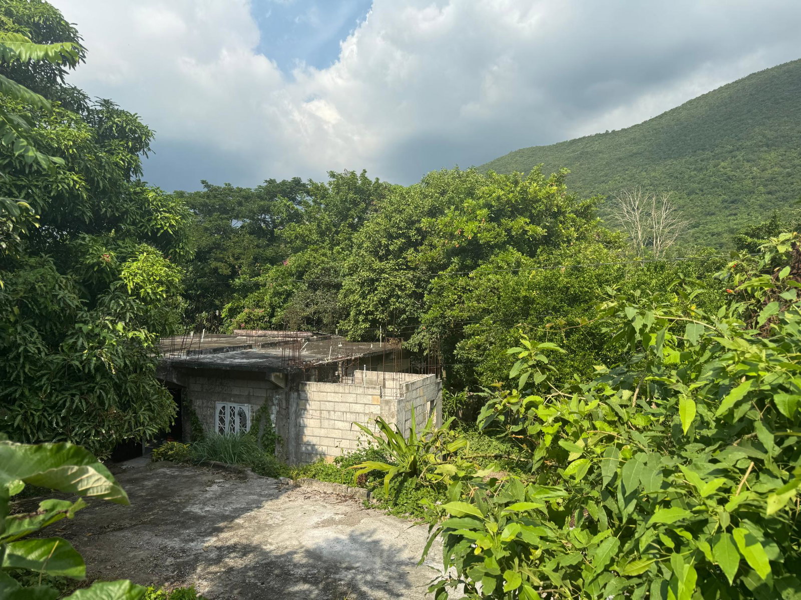 Third image of Barretts Drive in Kingston 7, St. Andrew, Jamaica - property is For Sale