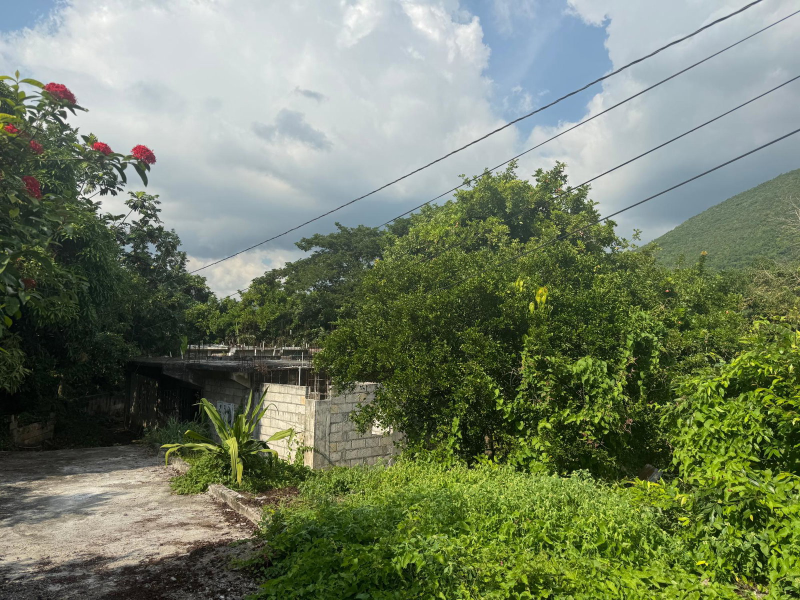 Fourth image of Barretts Drive in Kingston 7, St. Andrew, Jamaica - property is For Sale