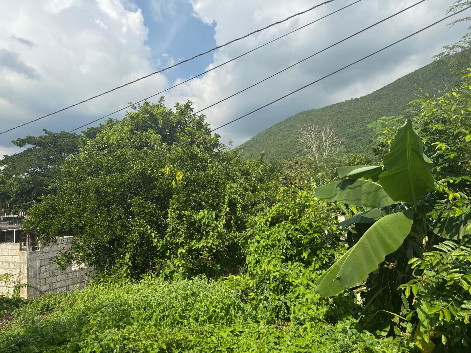 Fifth image of Barretts Drive in Kingston 7, St. Andrew, Jamaica - property is For Sale