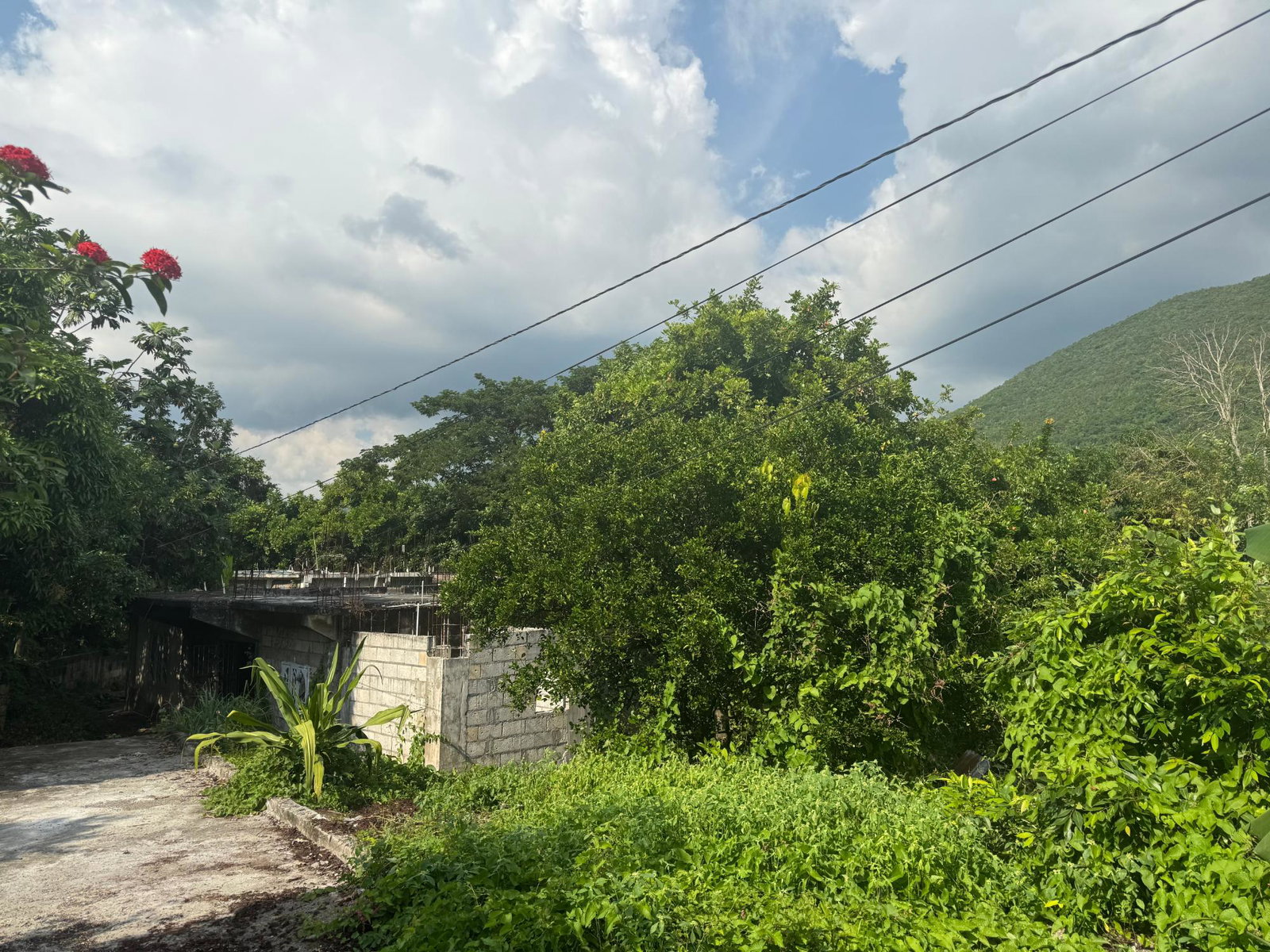 Sixth image of Barretts Drive in Kingston 7, St. Andrew, Jamaica - property is For Sale