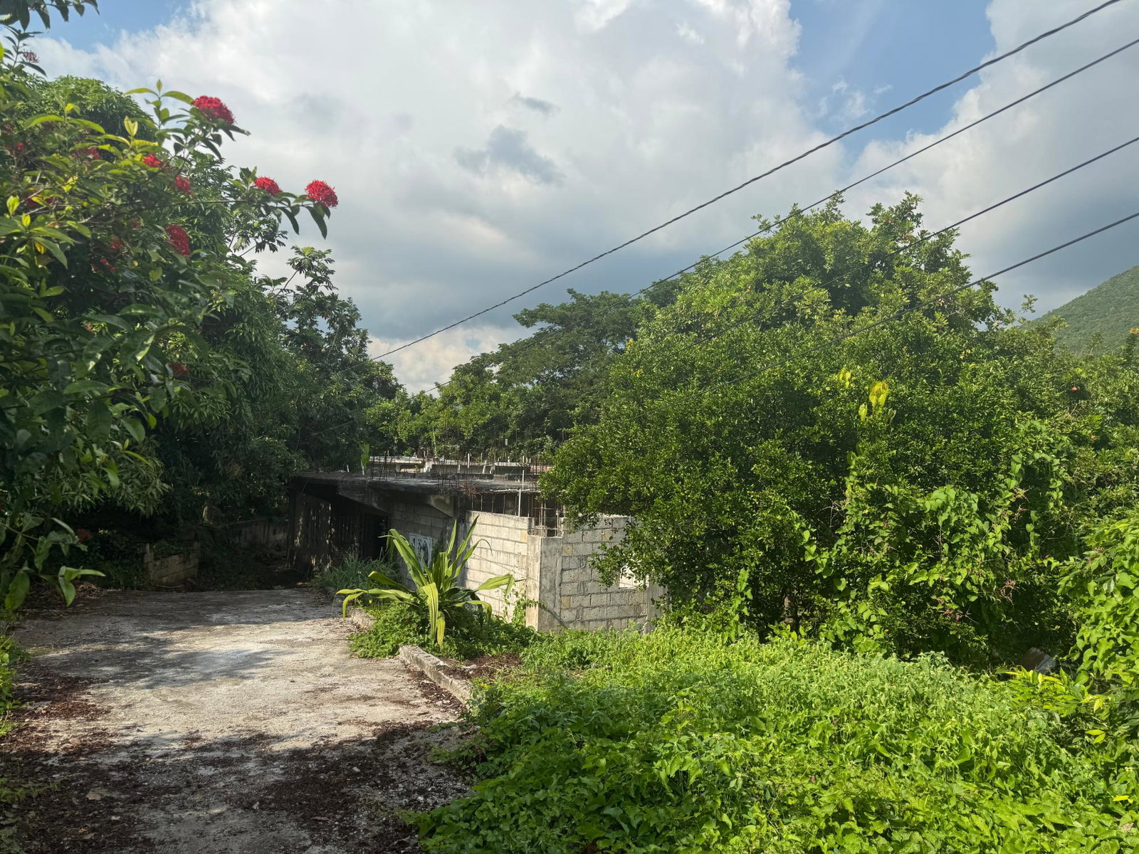 Ninth image of Barretts Drive in Kingston 7, St. Andrew, Jamaica - property is For Sale
