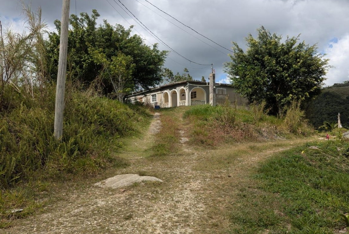 Twenty-Fourth image of 7 Waugh Hill Rock Hall in Rock Hall, St. Andrew, Jamaica - property is For Sale
