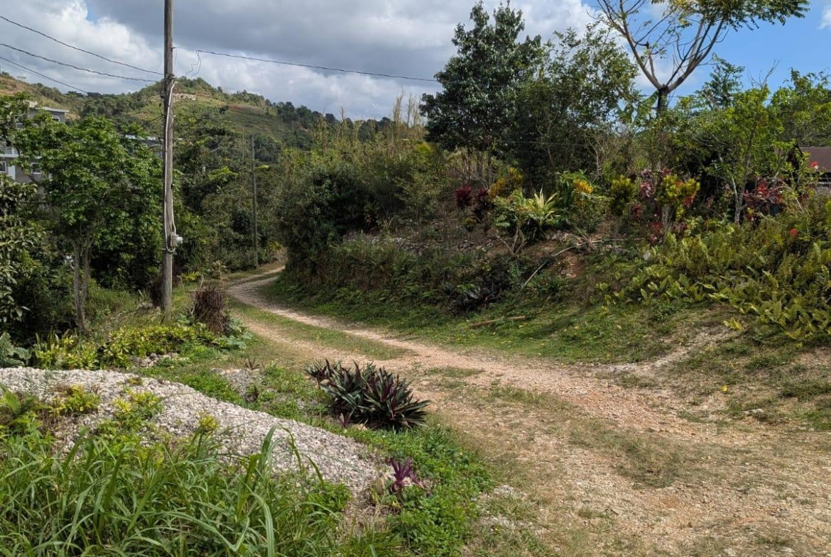 Twenty-Fifth image of 7 Waugh Hill Rock Hall in Rock Hall, St. Andrew, Jamaica - property is For Sale