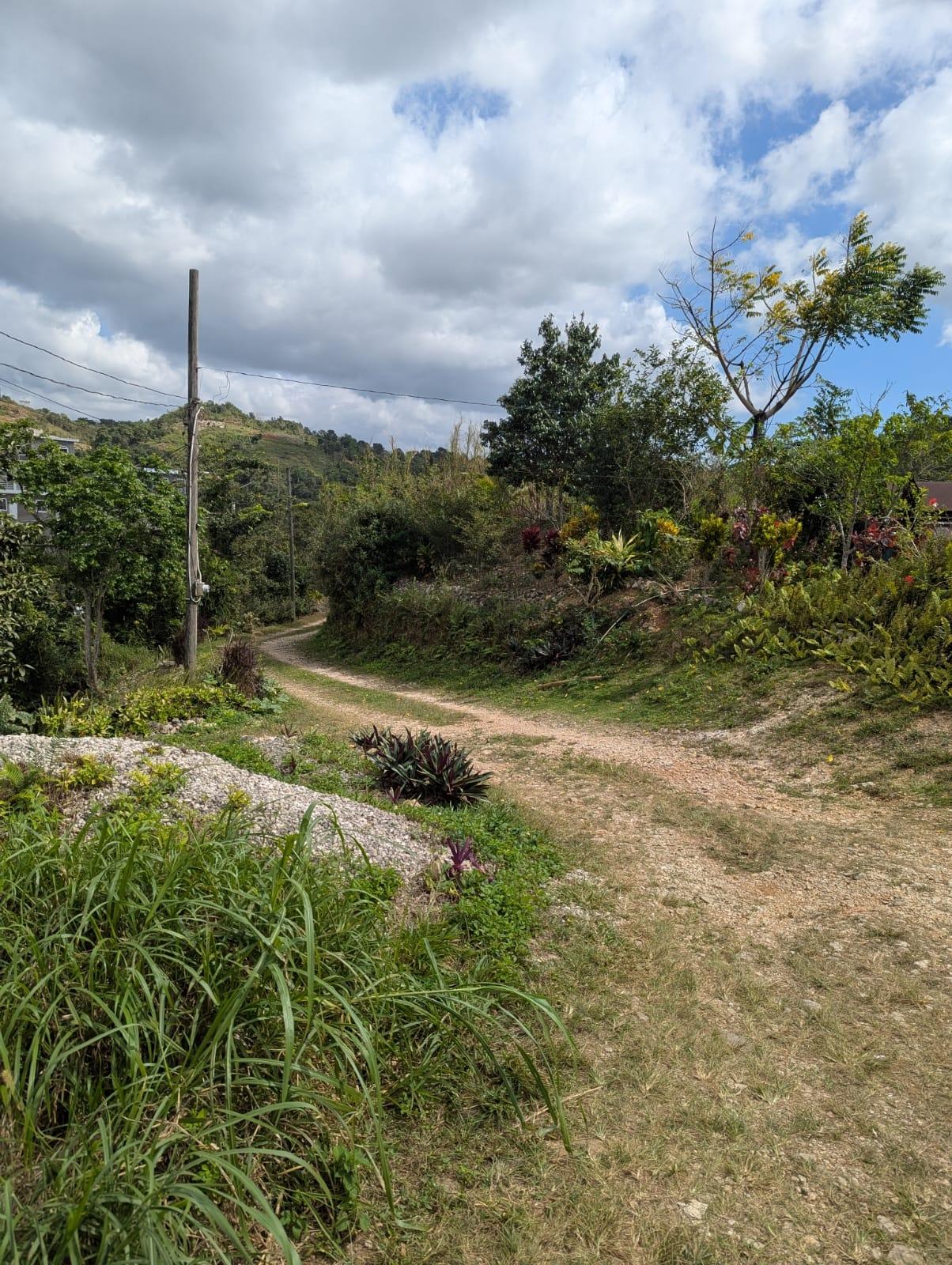 Twenty-Fifth image of 7 Waugh Hill Rock Hall in Rock Hall, St. Andrew, Jamaica - property is For Sale
