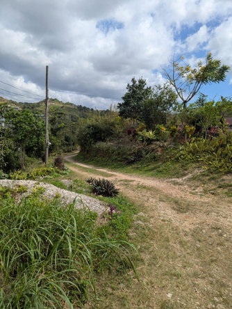 Twenty-Fifth image of 7 Waugh Hill Rock Hall in Rock Hall, St. Andrew, Jamaica - property is For Sale