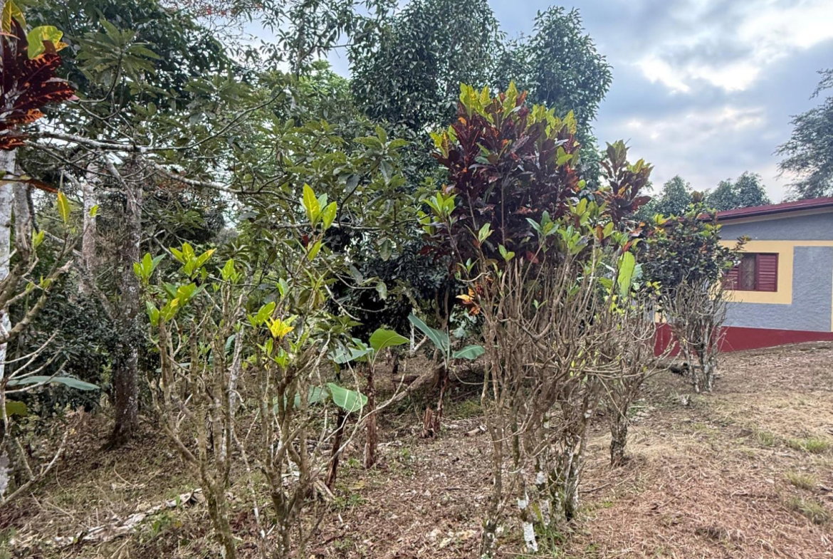 Second image of James Hill Clarendon in James Hill, Clarendon, Jamaica - property is For Sale
