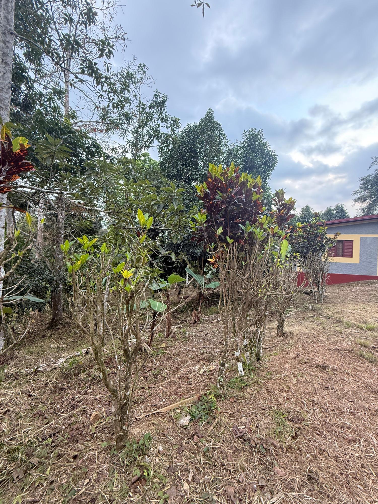 Charming-3-Bedroom-Home-for-Sale-in-James-Hill-Clarendon Second image of James Hill Clarendon in James Hill, Clarendon, Jamaica - property is For Sale