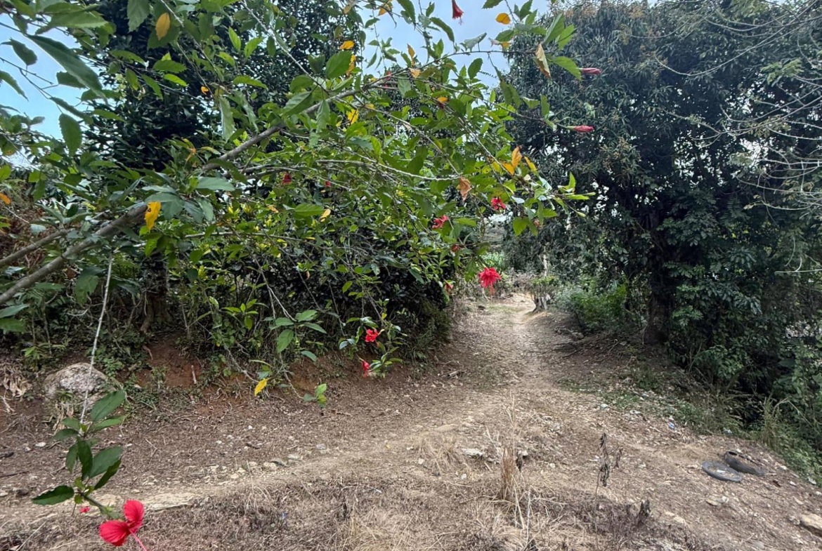 Third image of James Hill Clarendon in James Hill, Clarendon, Jamaica - property is For Sale