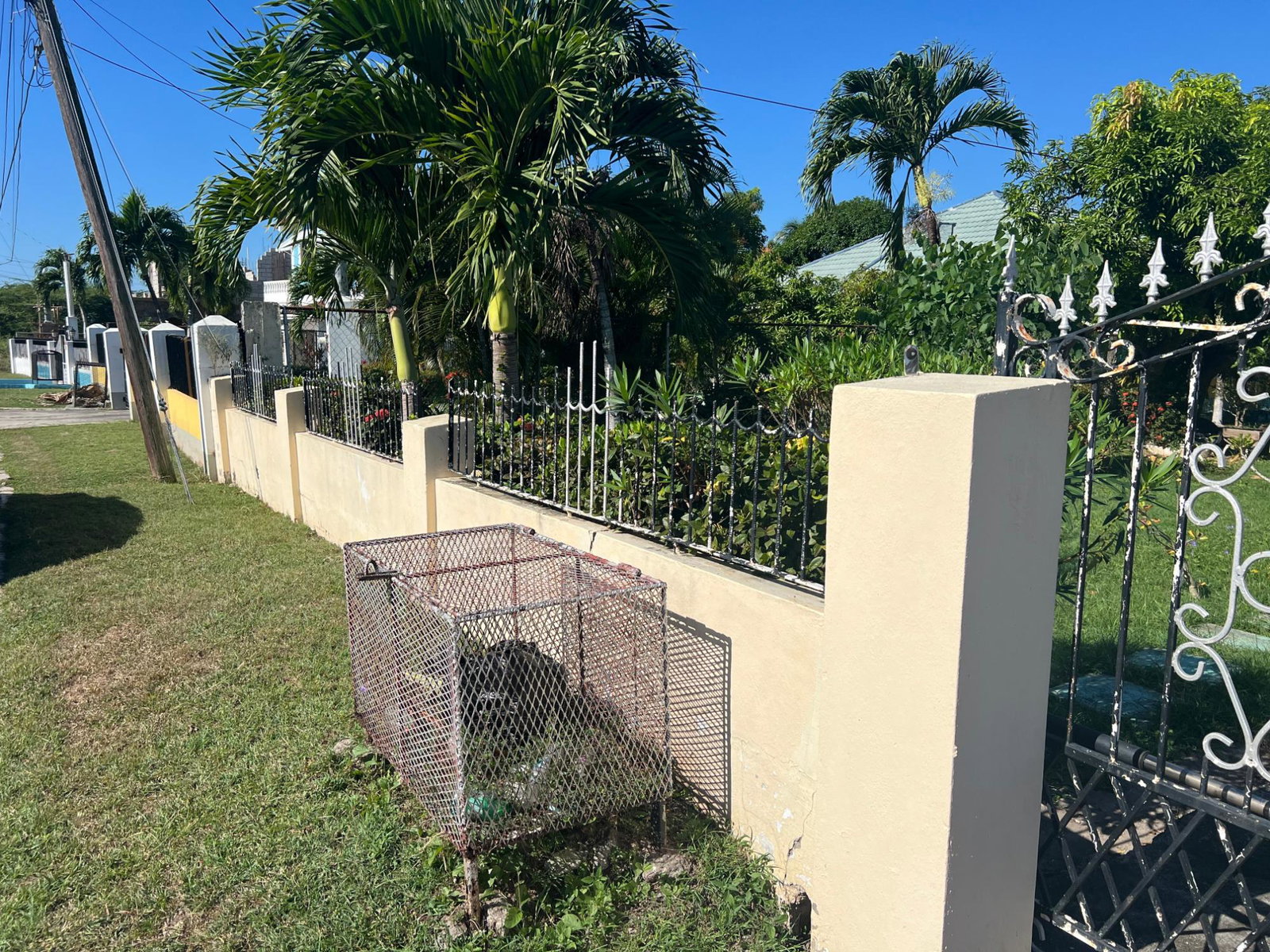 Third image of 41 Elizabeth Drive in Palmers Cross, Clarendon, Jamaica - property is For Sale