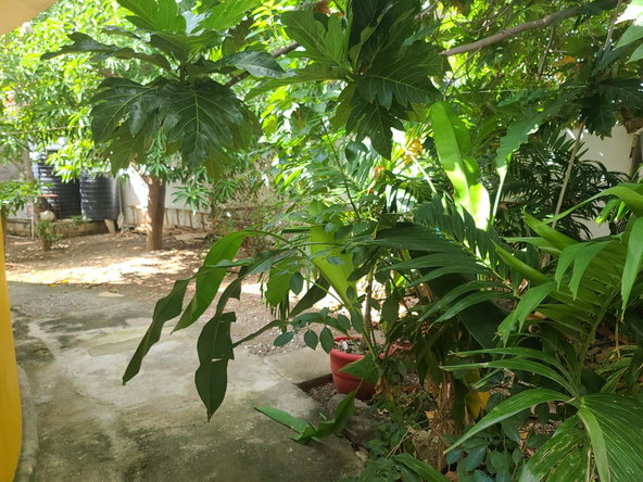 Twenty-Ninth image of 40 Seaview Drive, Bull Bay in BULL BAY, St. Andrew, Jamaica - property is For Sale