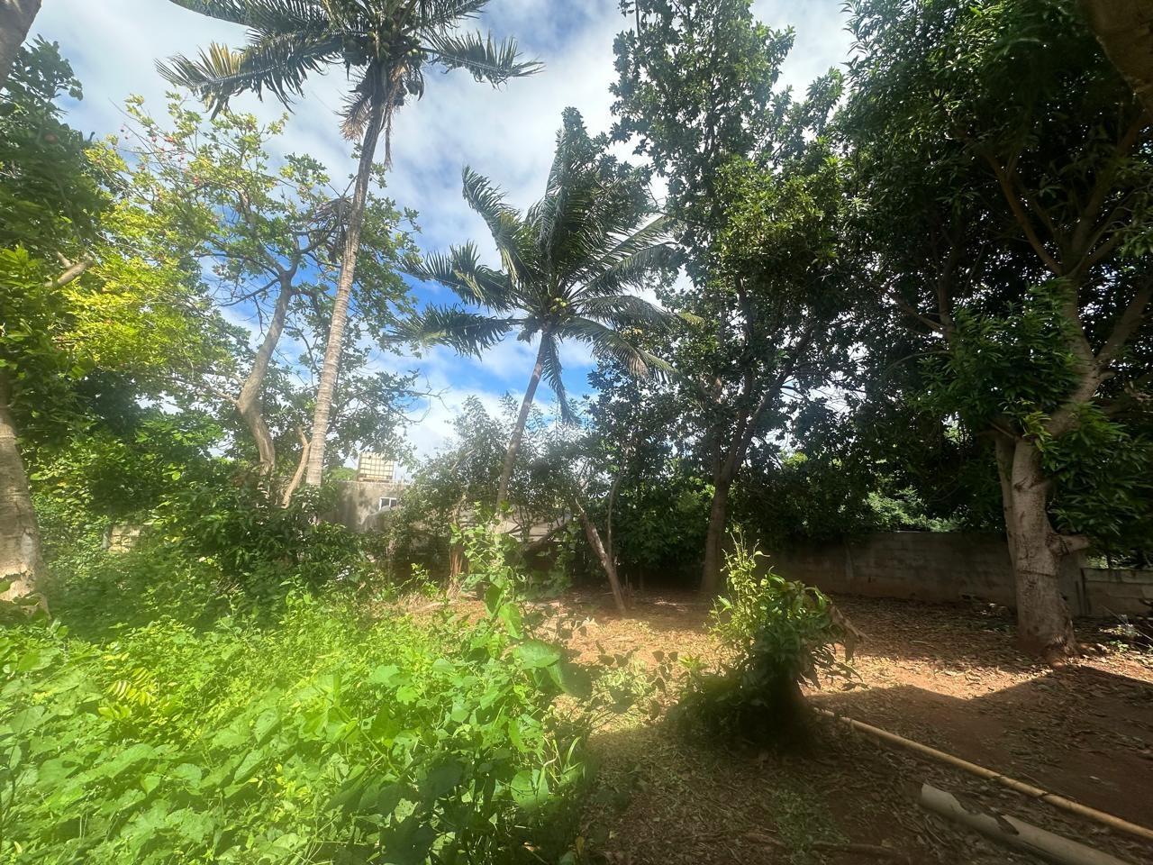 Sixth image of 31 Tate Avenue in St. Johns Heights, St. Catherine, Jamaica - property is For Sale