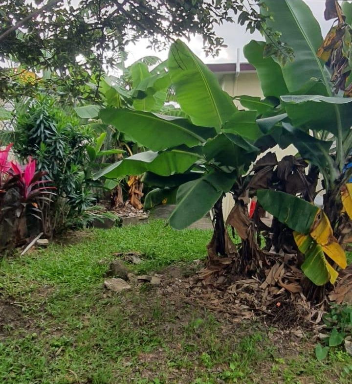 Eighth image of No. 10 Lawrence Drive, Kingston in Mannings Hill, St. Andrew, Jamaica - property is For Sale
