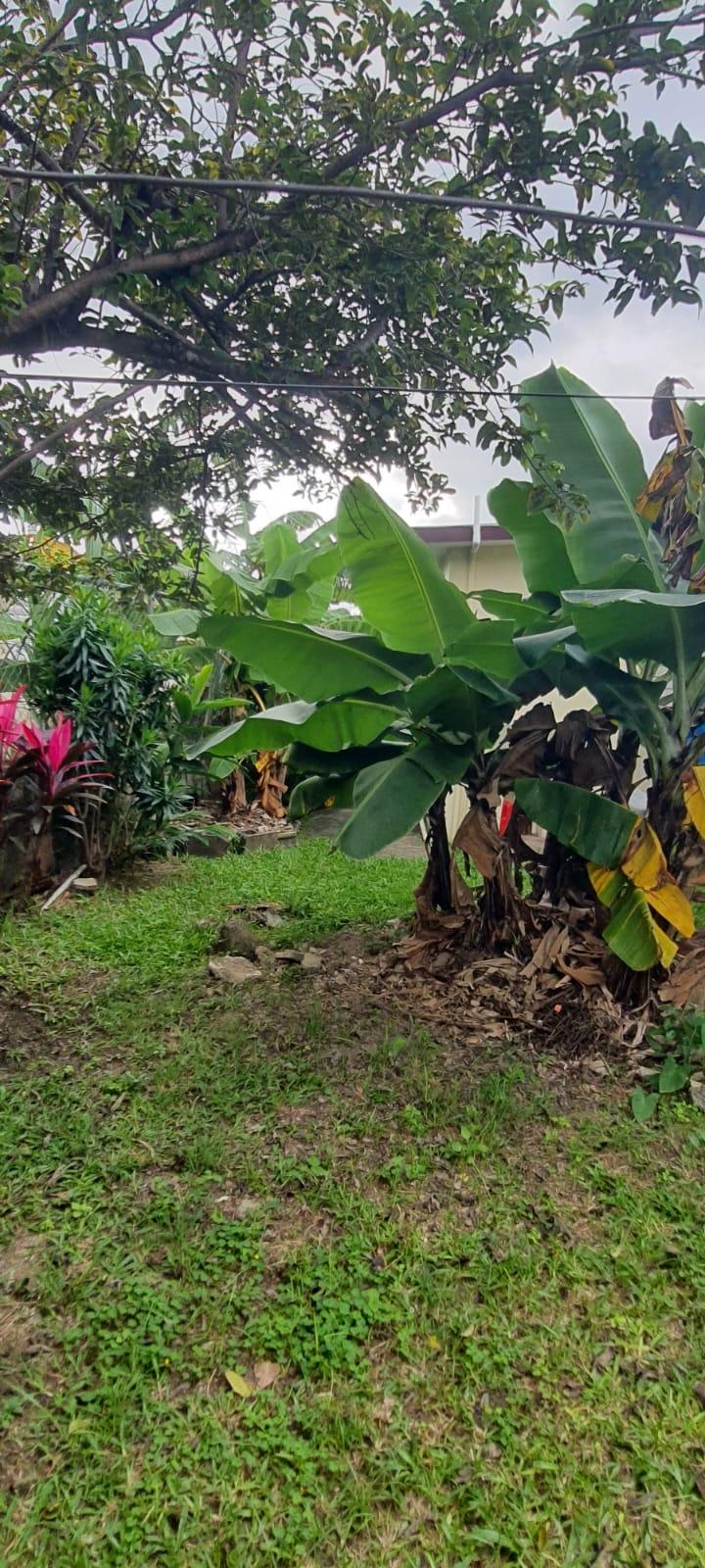 Eighth image of No. 10 Lawrence Drive, Kingston in Mannings Hill, St. Andrew, Jamaica - property is For Sale