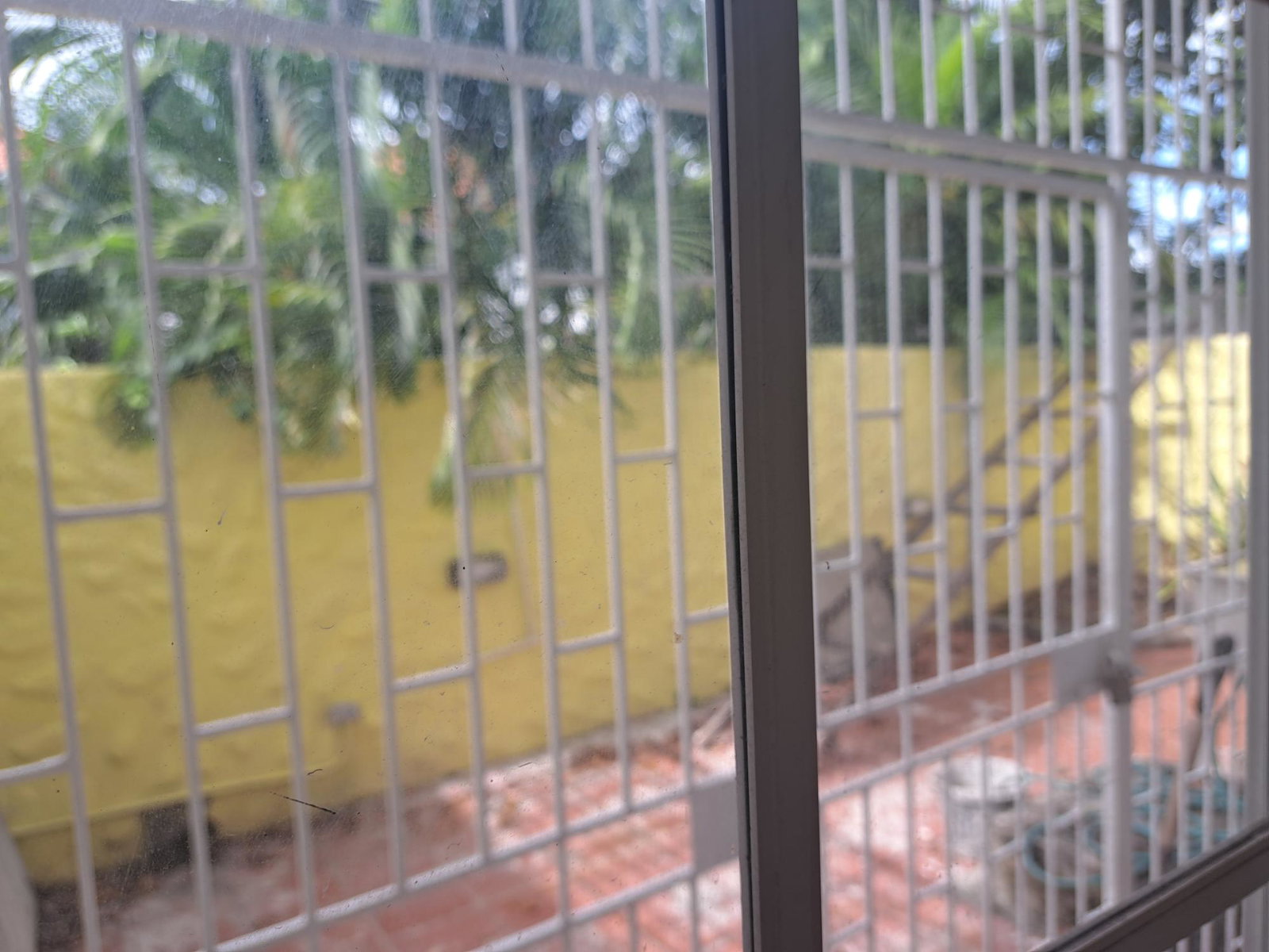 Tenth image of 14-1 Seaview Avenue in Kingston 6, St. Andrew, Jamaica - property is For Rent