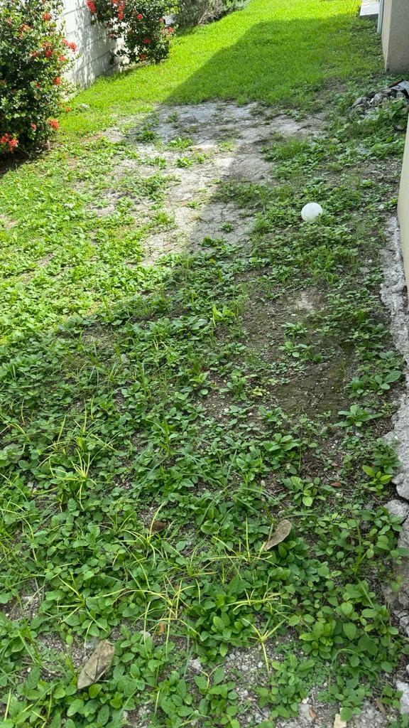 Eighth image of 79 Dempster Avenue, Sydenham in Sydenham, St. Catherine, Jamaica - property is For Sale