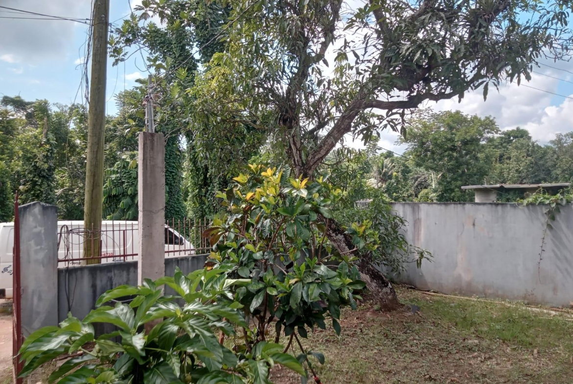 Second image of Wallens Time And Patience in Time And Patience, St. Catherine, Jamaica - property is For Sale