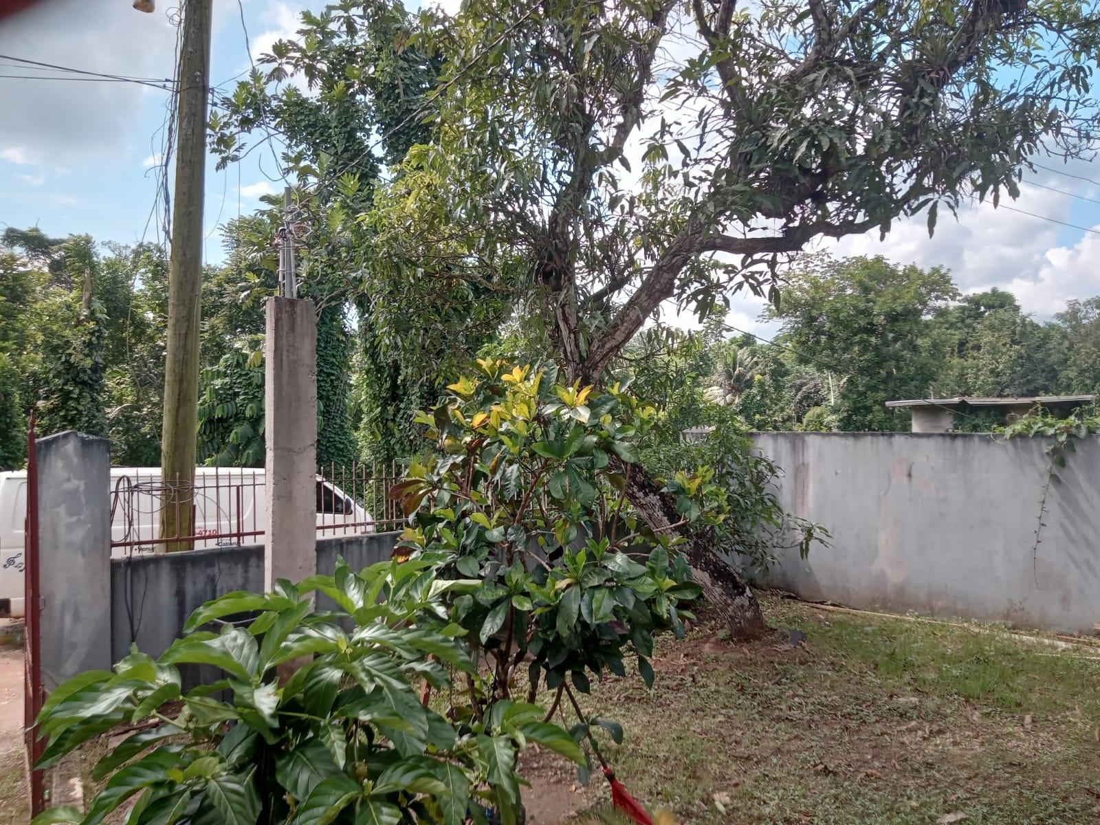 Second image of Wallens Time And Patience in Time And Patience, St. Catherine, Jamaica - property is For Sale