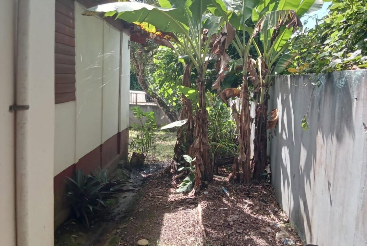 Eleventh image of Wallens Time And Patience in Time And Patience, St. Catherine, Jamaica - property is For Sale