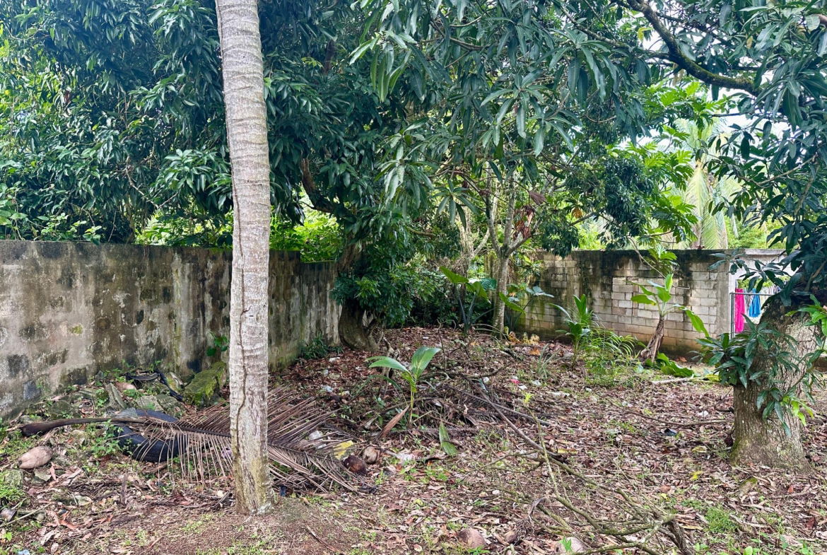 Eighth image of 2 Rose Hall in Linstead, St. Catherine, Jamaica - property is For Sale