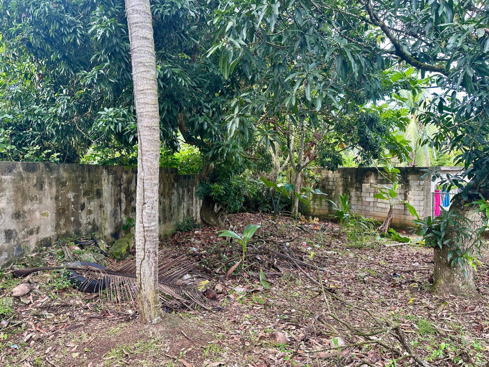 Charming-Split-Level-Home-for-Sale-in-St.-Catherine-Jamaica Eighth image of 2 Rose Hall in Linstead, St. Catherine, Jamaica - property is For Sale