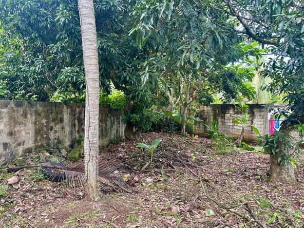 Eighth image of 2 Rose Hall in Linstead, St. Catherine, Jamaica - property is For Sale