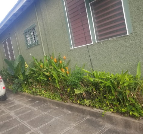 Second image of Apt # 3-10 Sandhurst Avenue in Kingston 6, St. Andrew, Jamaica - property is For Sale