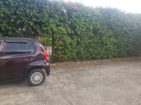 First image of Apt # 3-10 Sandhurst Avenue in Kingston 6, St. Andrew, Jamaica - property is For Sale