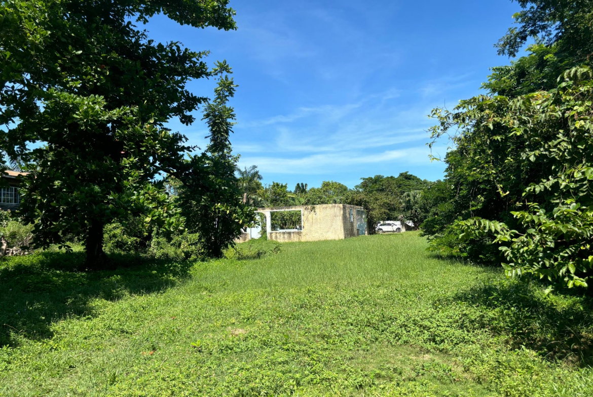 Fifth image of Summerset Lane in Negril, Westmoreland, Jamaica - property is For Sale