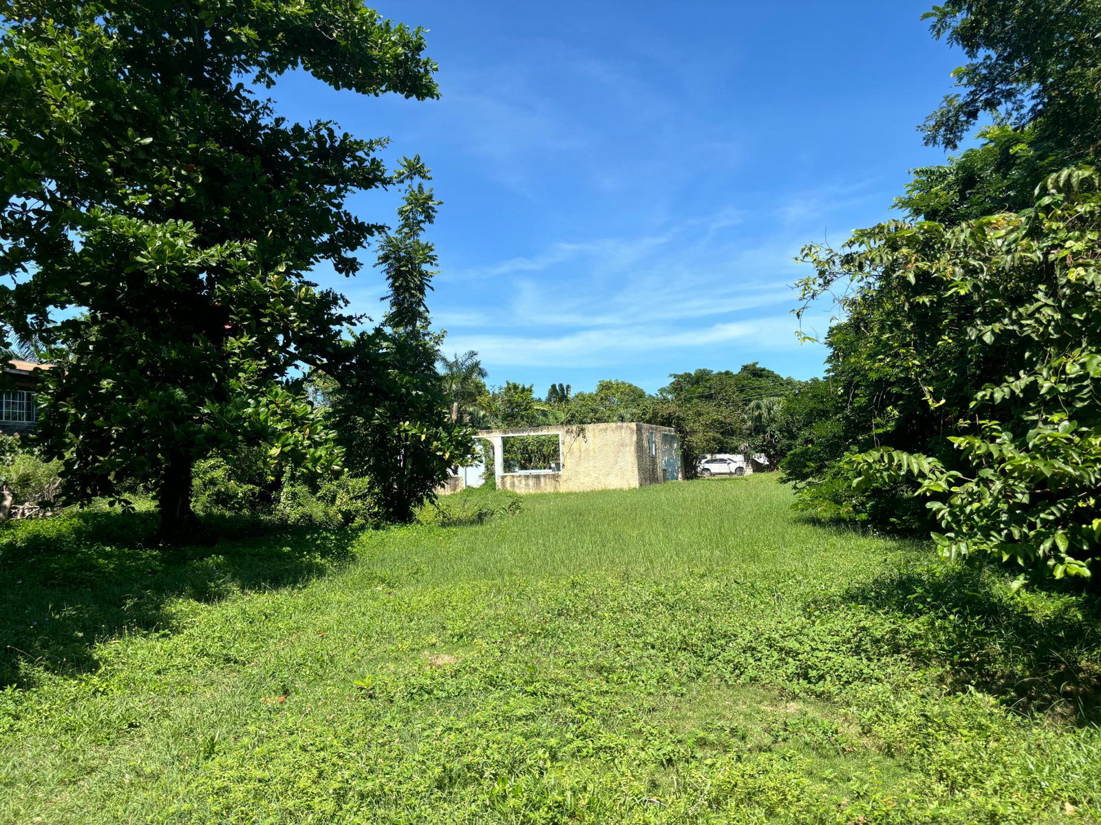 Fifth image of Summerset Lane in Negril, Westmoreland, Jamaica - property is For Sale