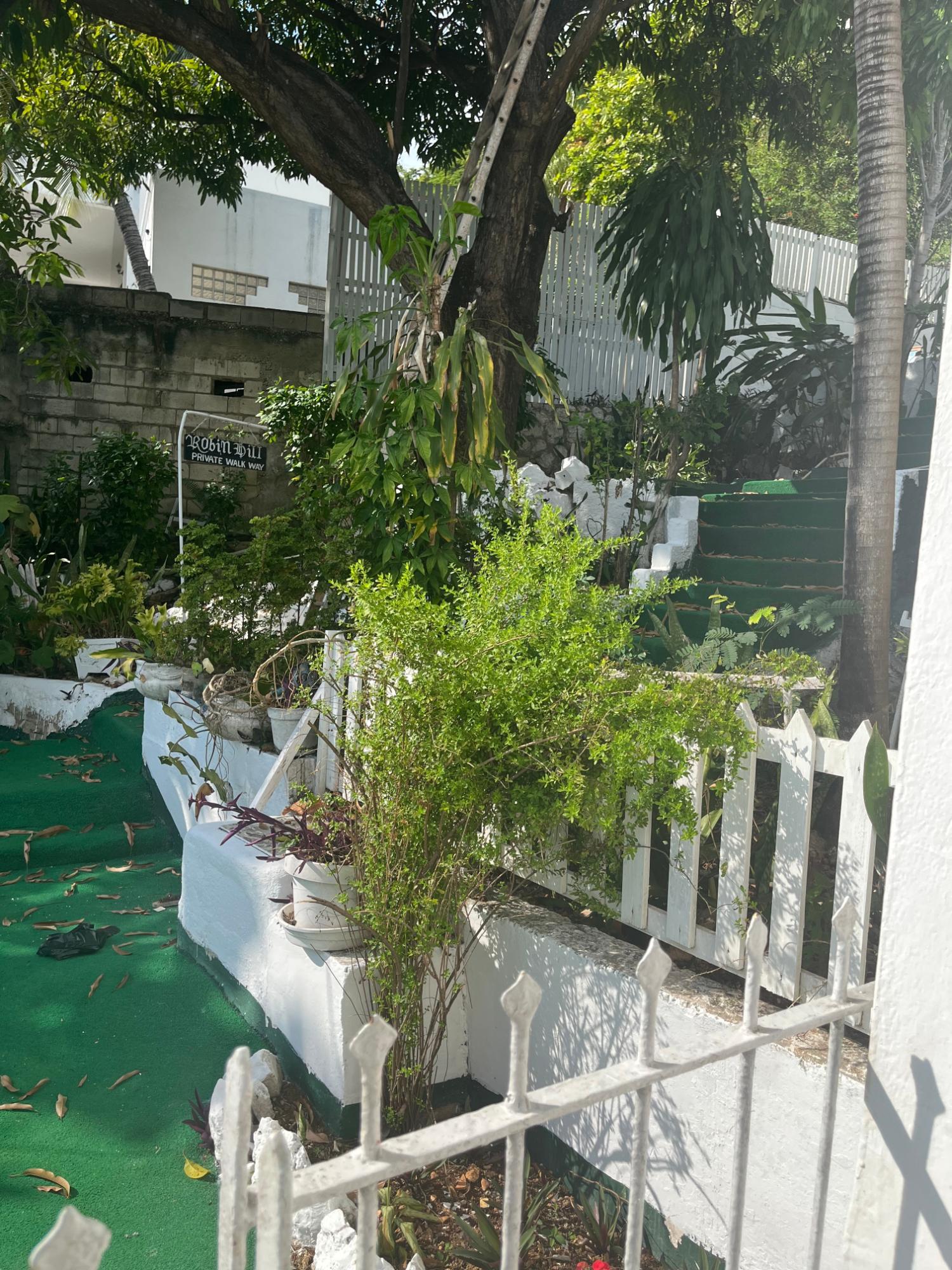 Fifteenth image of 4 West Armour Heights, Kin in Kingston 8, St. Andrew, Jamaica - property is For Rent