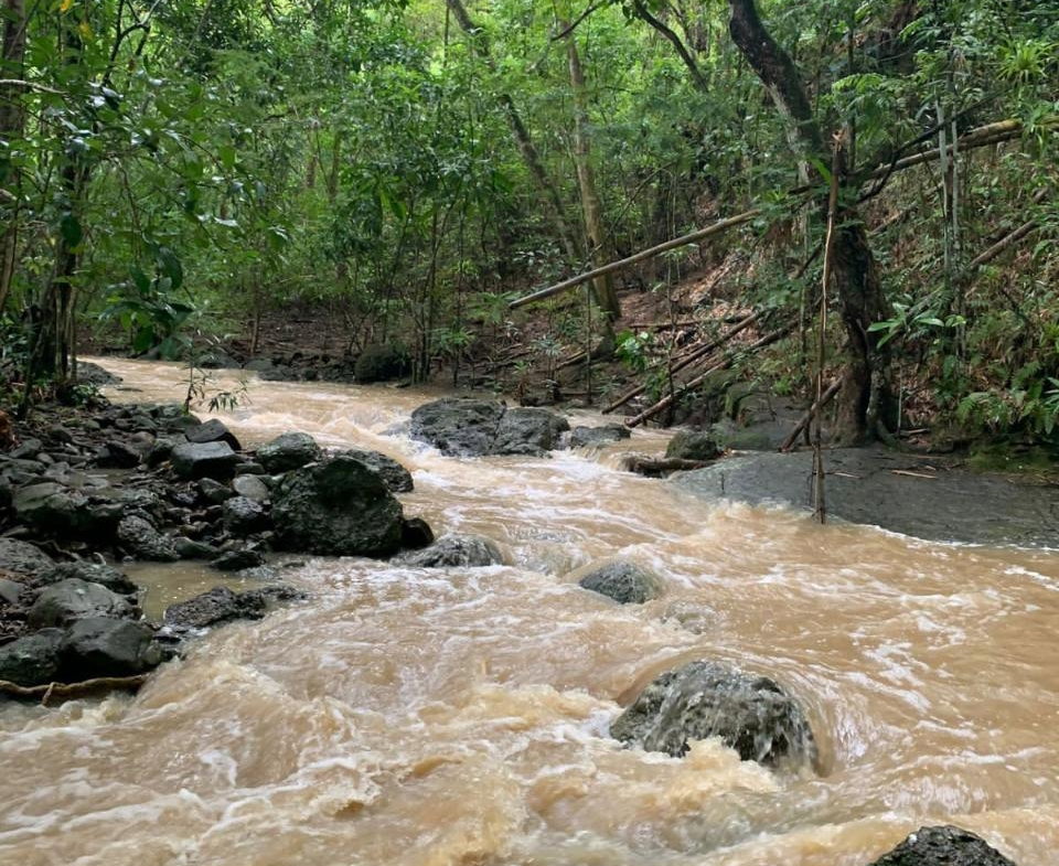 Eleventh image of Green Island in Green Island, Hanover, Jamaica - property is For Sale