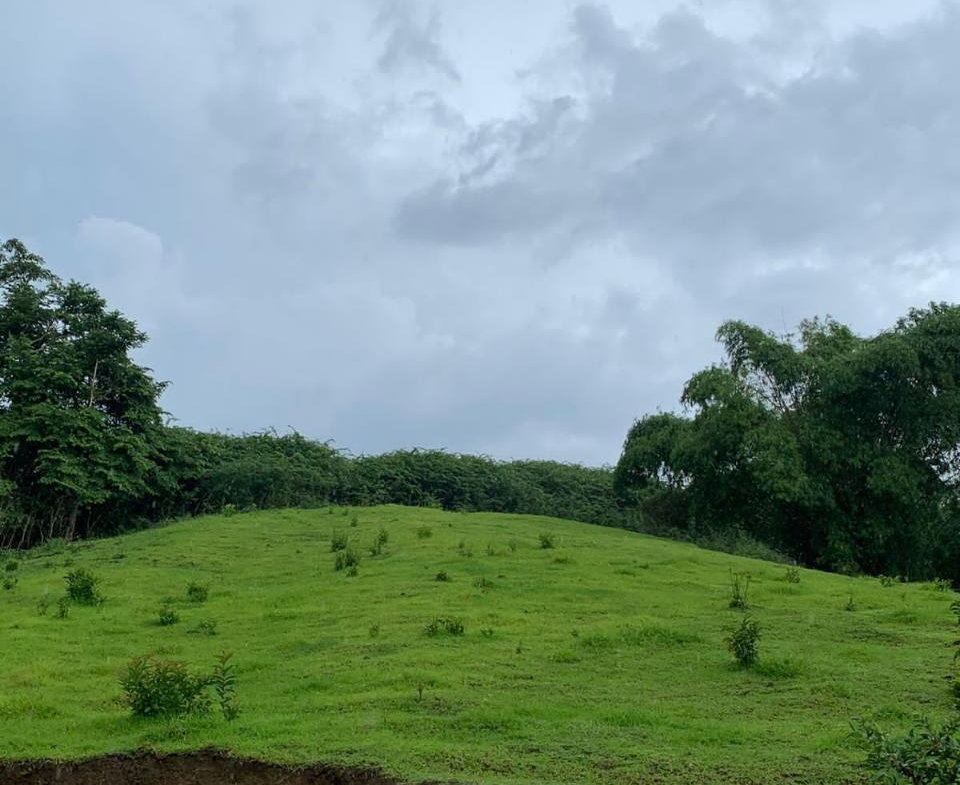 Twelfth image of Green Island in Green Island, Hanover, Jamaica - property is For Sale