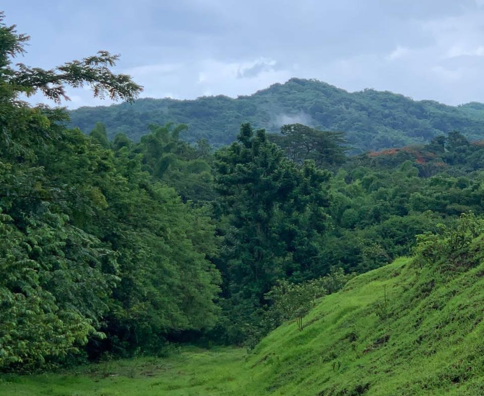 Thirteenth image of Green Island in Green Island, Hanover, Jamaica - property is For Sale