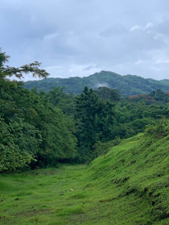 Thirteenth image of Green Island in Green Island, Hanover, Jamaica - property is For Sale