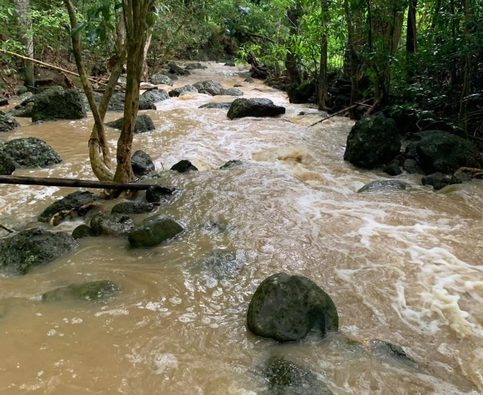 Fourteenth image of Green Island in Green Island, Hanover, Jamaica - property is For Sale