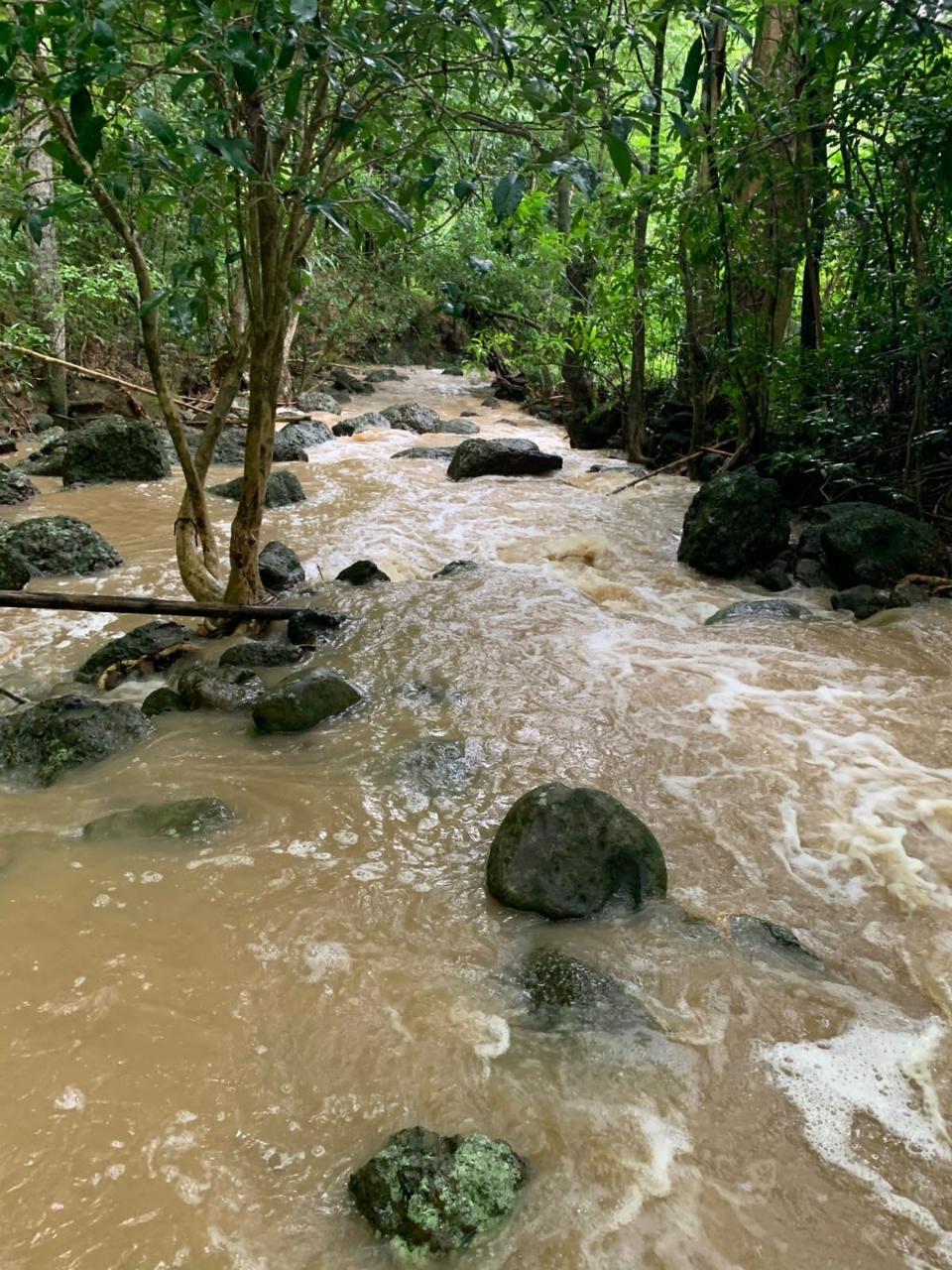 Fourteenth image of Green Island in Green Island, Hanover, Jamaica - property is For Sale