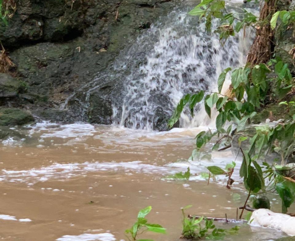 Fifteenth image of Green Island in Green Island, Hanover, Jamaica - property is For Sale