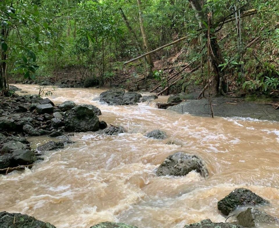 Sixteenth image of Green Island in Green Island, Hanover, Jamaica - property is For Sale